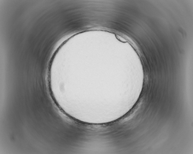 X0000110981149200907310944