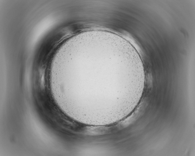 X0000110981150200907310944