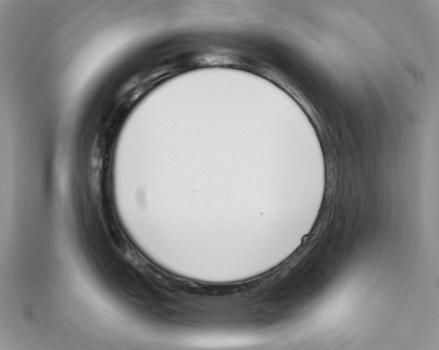 X0000110981151200907310944