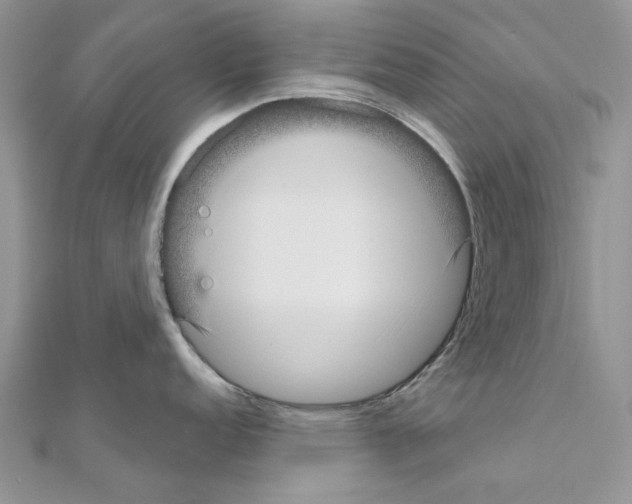 X0000110981152200907310944