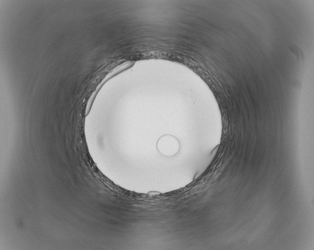 X0000110981153200907310944
