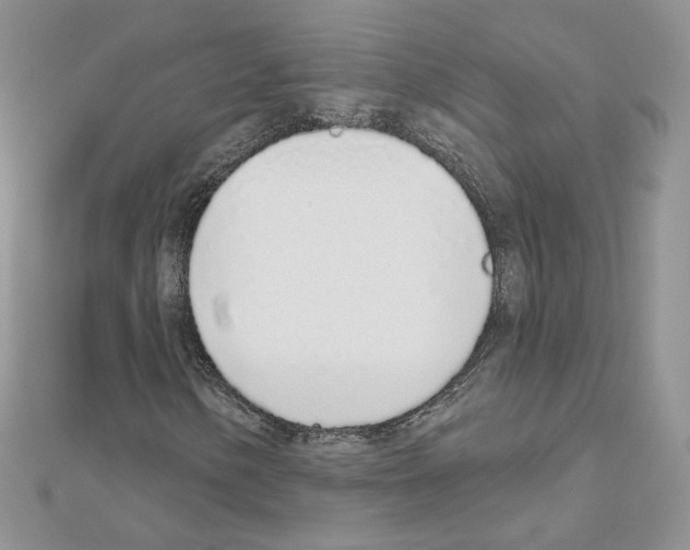 X0000110981154200907310944