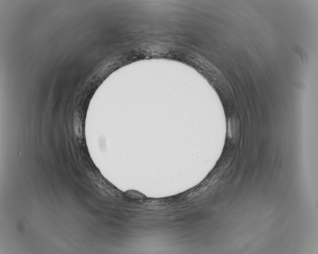 X0000110981155200907310944