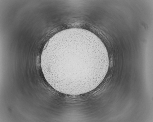 X0000110981156200907310944