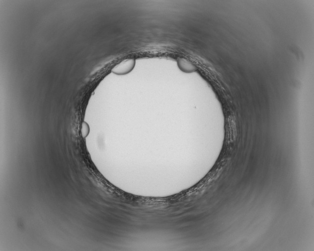 X0000110981158200907310943