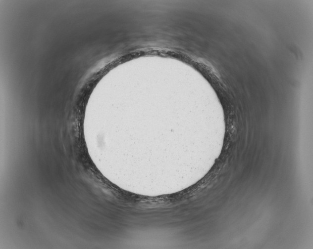 X0000110981159200907310943