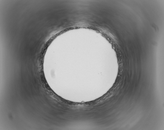 X0000110981160200907310943