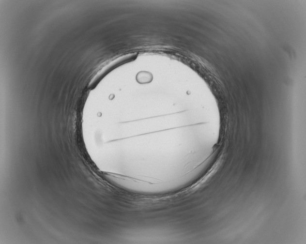 X0000110981161200907310943