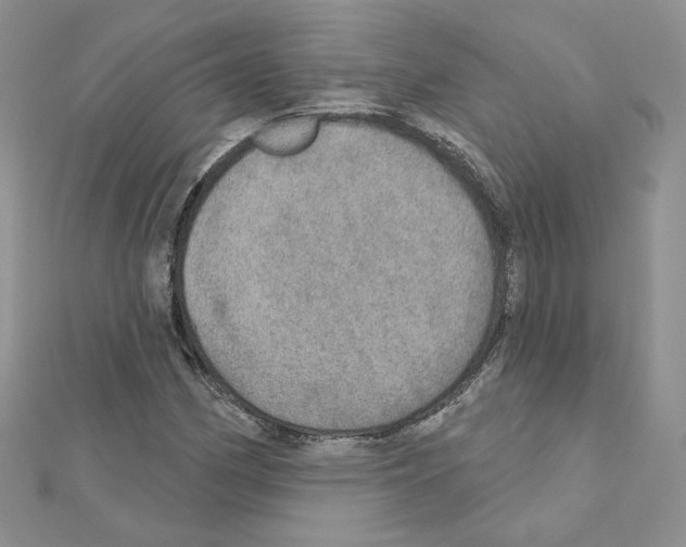 X0000110981162200907310943