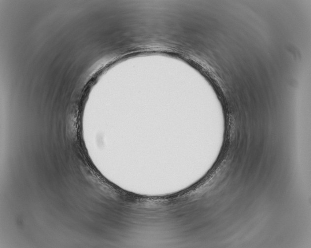 X0000110981163200907310943