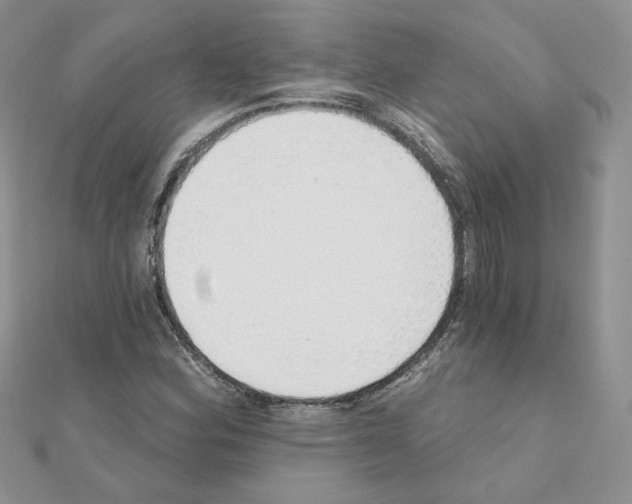 X0000110981164200907310943