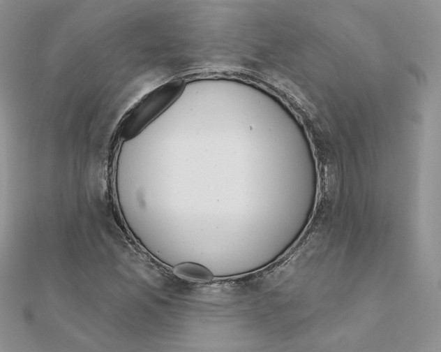 X0000110981165200907310943