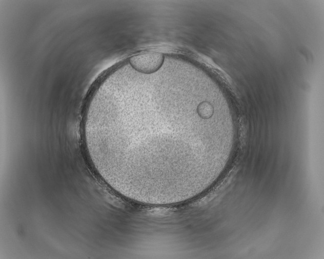 X0000110981166200907310943