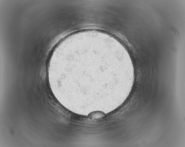 X0000110981167200907310943