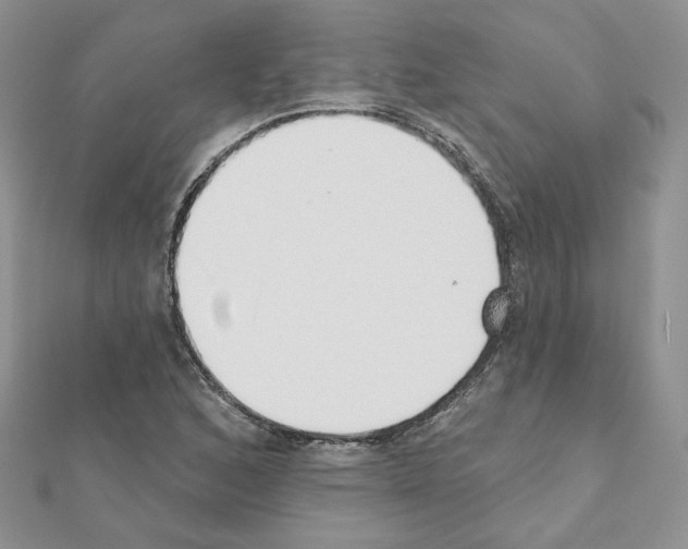 X0000110981168200907310943