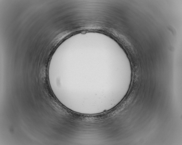 X0000110981169200907310943