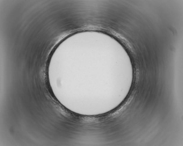 X0000110981170200907310943