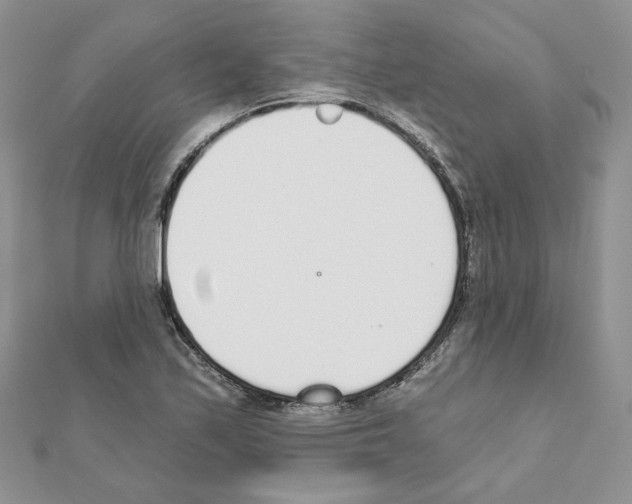 X0000110981171200907310943