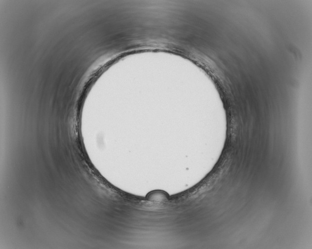X0000110981172200907310943
