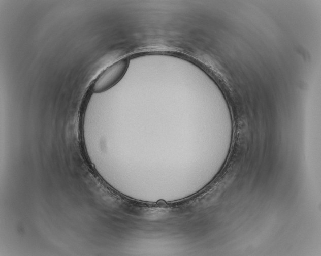 X0000110981173200907310943