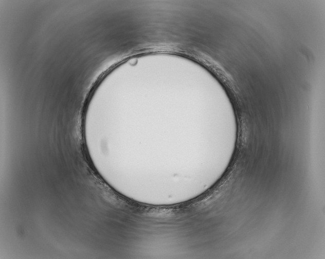 X0000110981174200907310943