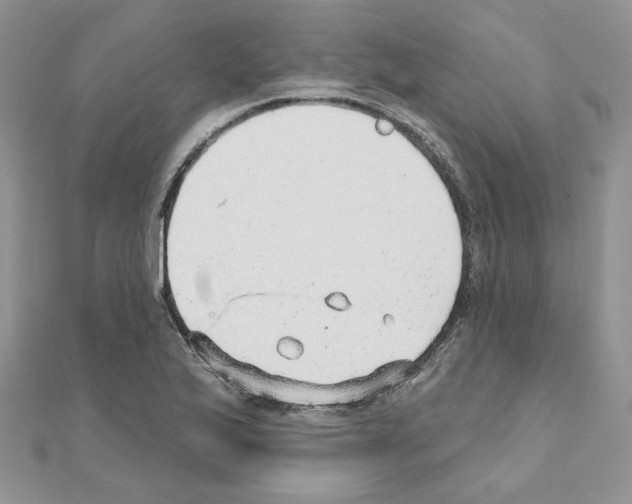 X0000110981175200907310943
