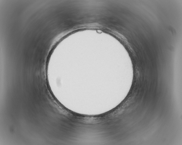 X0000110981176200907310943