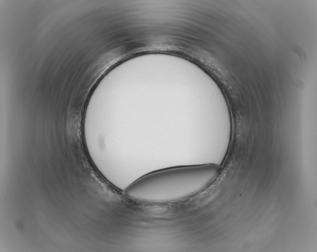 X0000110981177200907310943