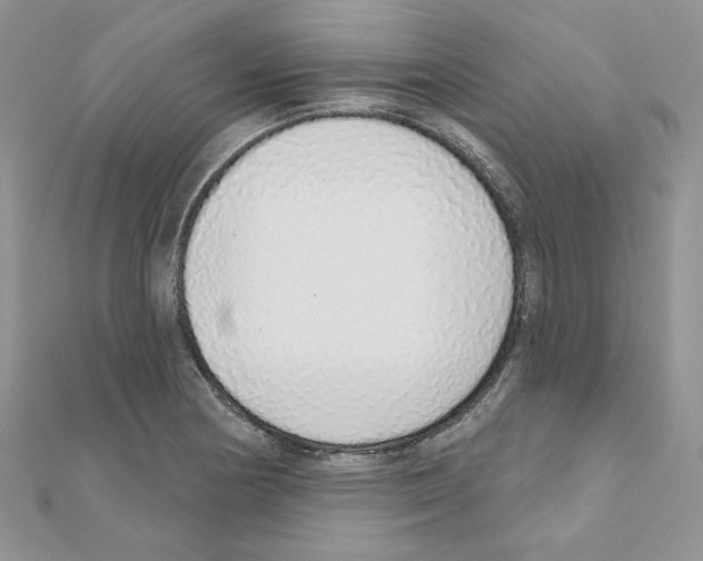 X0000110981178200907310943