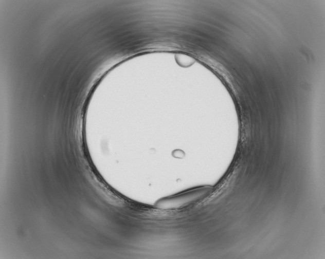 X0000110981179200907310943