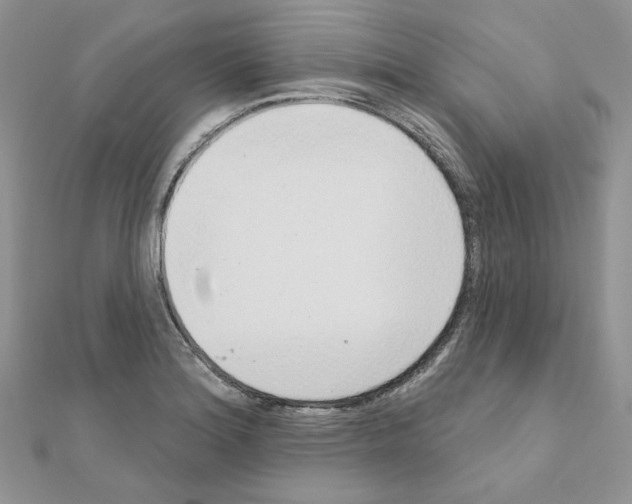 X0000110981180200907310943