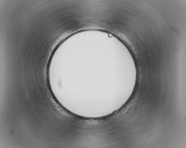 X0000110981181200907310943