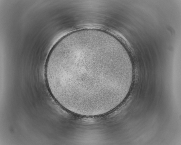 X0000110981182200907310943