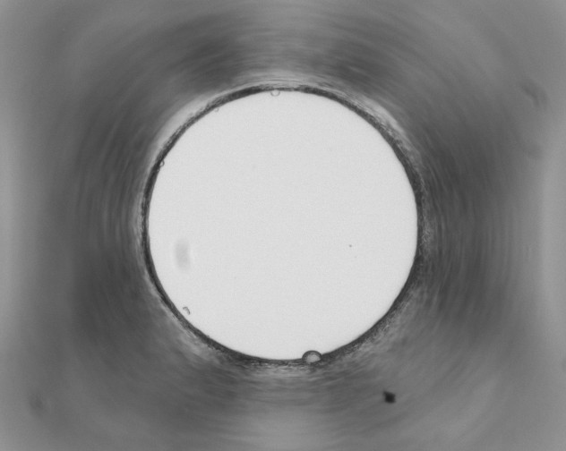 X0000110981183200907310943