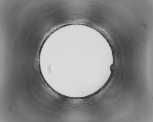 X0000110981184200907310943