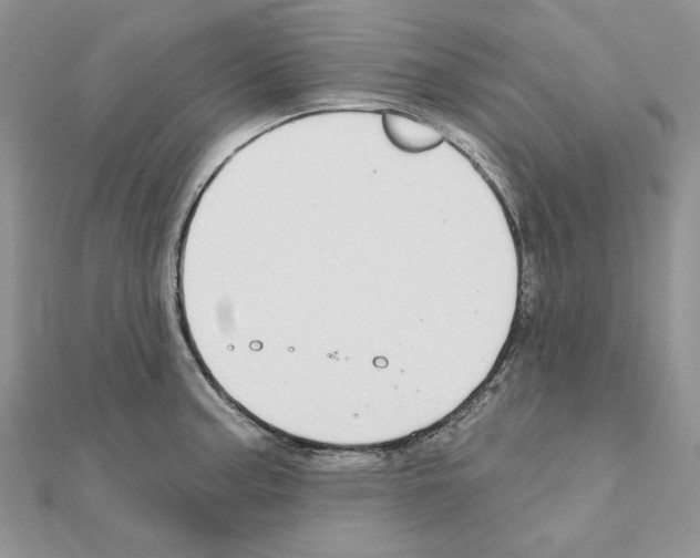 X0000110981187200907310943