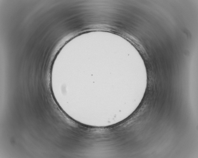 X0000110981188200907310943