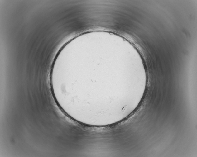X0000110981189200907310943