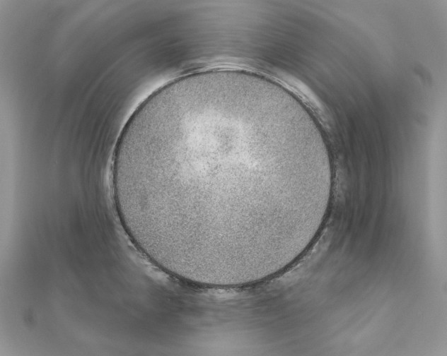 X0000110981190200907310943