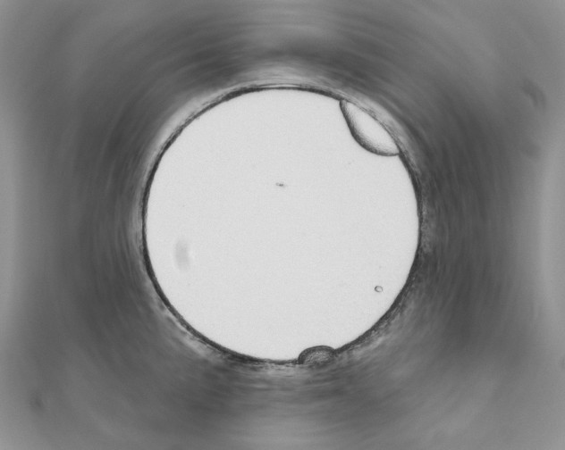 X0000110981191200907310943