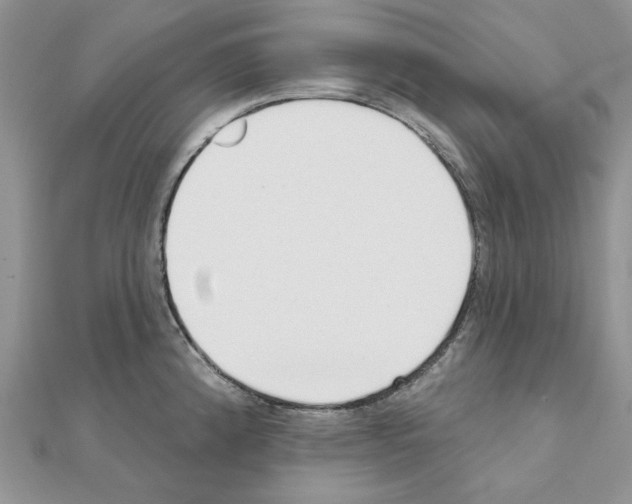X0000110981192200907310943