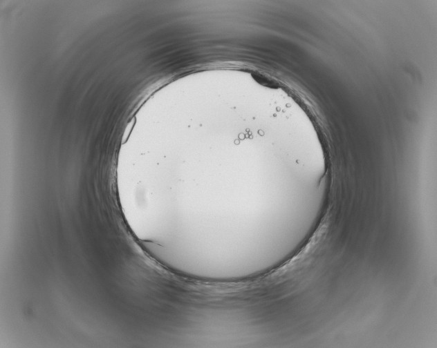 X0000110981193200907310943