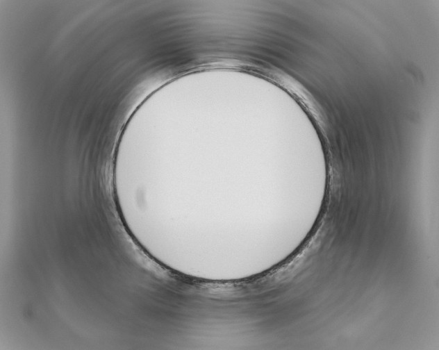X0000110981194200907310943