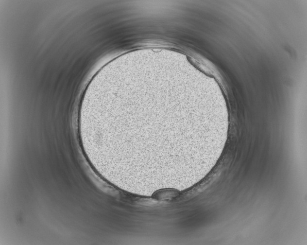 X0000110981195200907310943