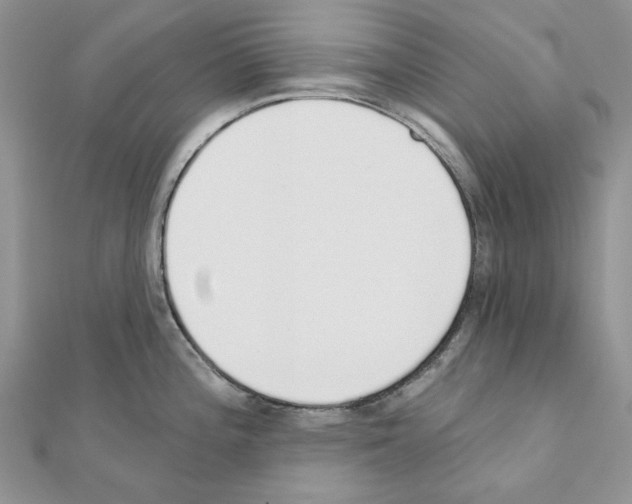 X0000110981196200907310943