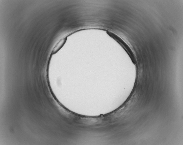 X0000110981197200907310943