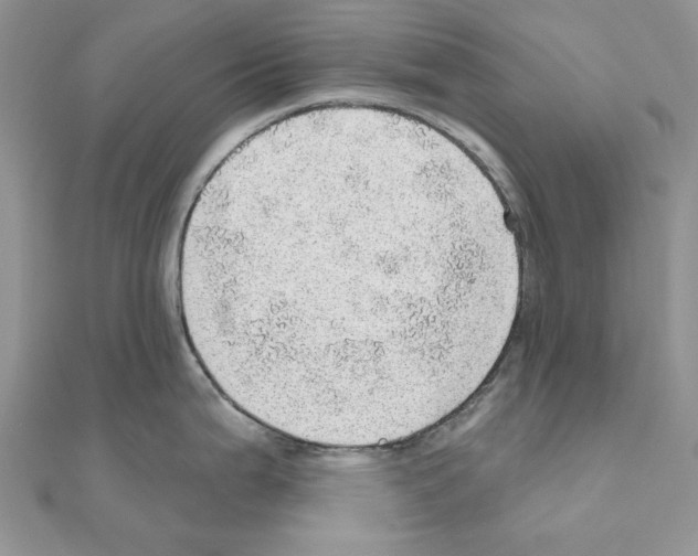 X0000110981199200907310943
