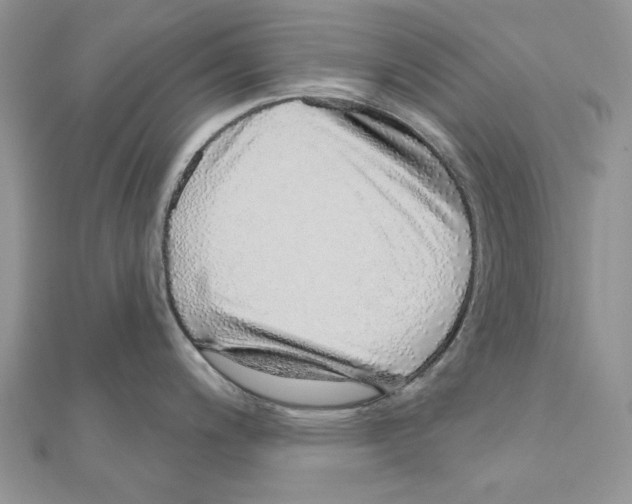 X0000110981200200907310943