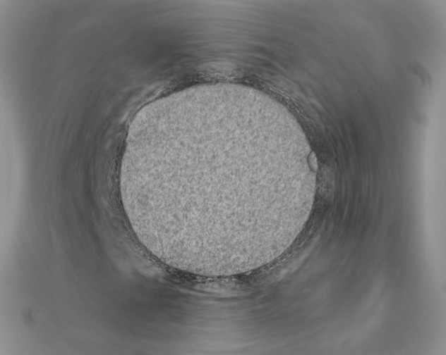 X0000110981201200907310942