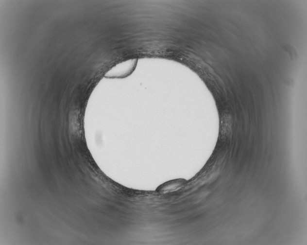 X0000110981202200907310942